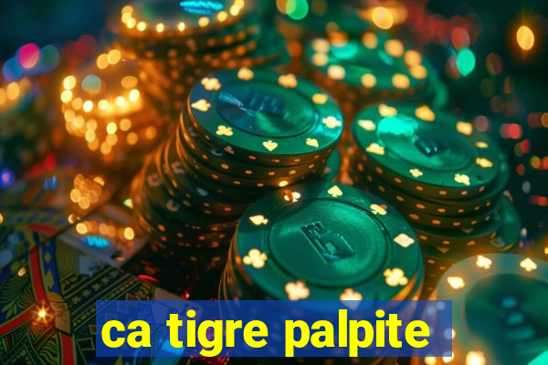 ca tigre palpite